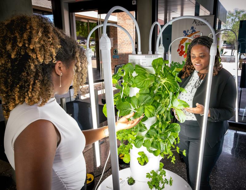 A person touches leafy greens growing inside a vertical hydroponic garden tower with grow lights.